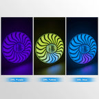 5.75 Inch Swirl RGB LED Headlight HL5.75-3010
